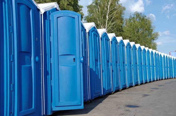 Best Affordable portable toilet rental  in Roseville, MN